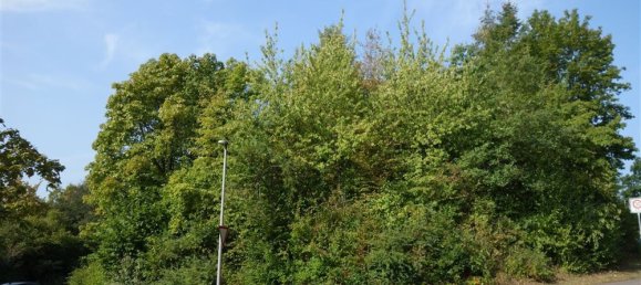 Terreno en Trier-Saarburg, Germany No. 144884 5