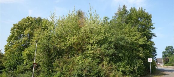 Terreno en Trier-Saarburg, Germany No. 144884 4