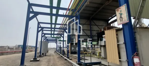 Usine à Hamriyah Free Zone, UAE 2052m² No. 97756 13