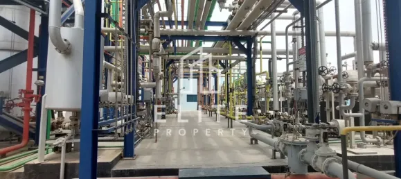 Usine à Hamriyah Free Zone, UAE 2052m² No. 97756 11