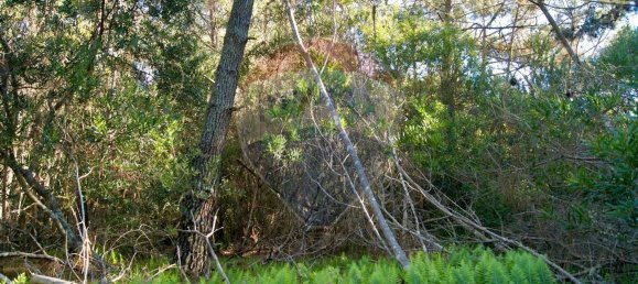 Terreno en Colares, Portugal 5160 m² No. 58355 2