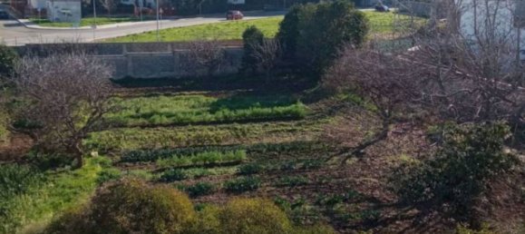 5-Zimmer Villa in Noicattaro, Italy, Nr. 87158 7