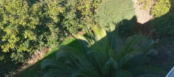 5-Zimmer Villa in Noicattaro, Italy, Nr. 87158 3