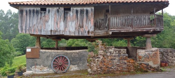 Terreno en Asturias, Spain No. 150642 5