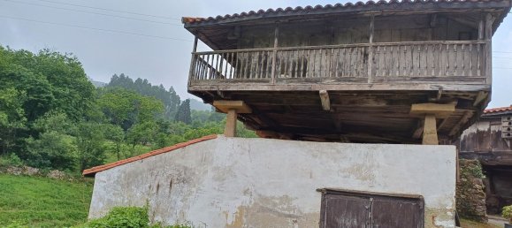 Terreno en Asturias, Spain No. 150642 7