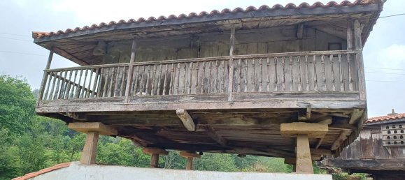 Terreno en Asturias, Spain No. 150642 8