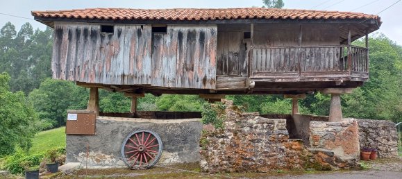 Terreno en Asturias, Spain No. 150642 4