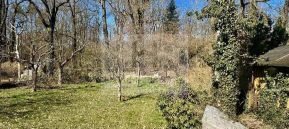 1 chambre Villa à Cottbus, Germany No. 19544 24