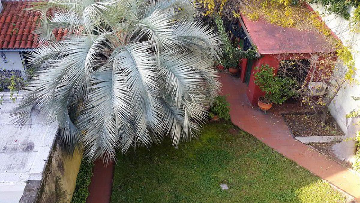 7 Schlafzimmer Haus in Montevideo, Uruguay, Nr. 4641