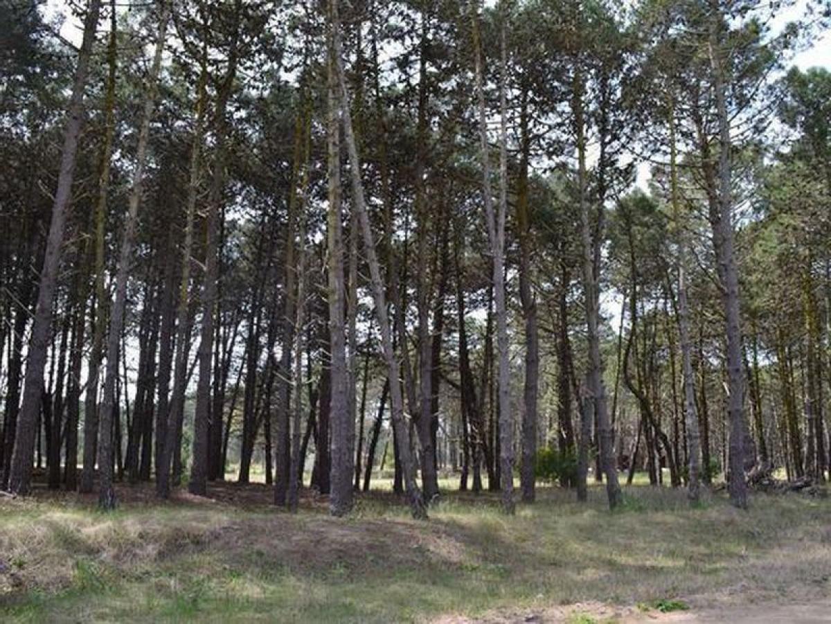 Земельный участок в Мар-дель-Плата, Аргентина № 120599