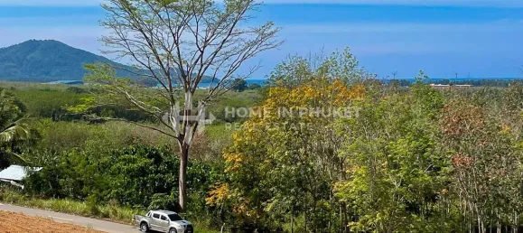  Land in Mai Khao, Thailand No. 60500 10