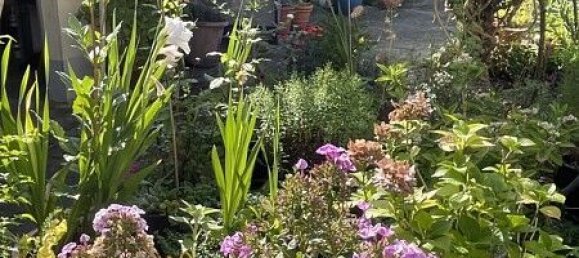 Таунхаус с 2 спальнями в Сен-Луи, Франция № 94410 33