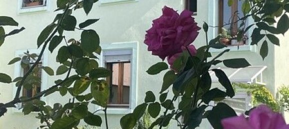 Таунхаус с 2 спальнями в Сен-Луи, Франция № 94410 41