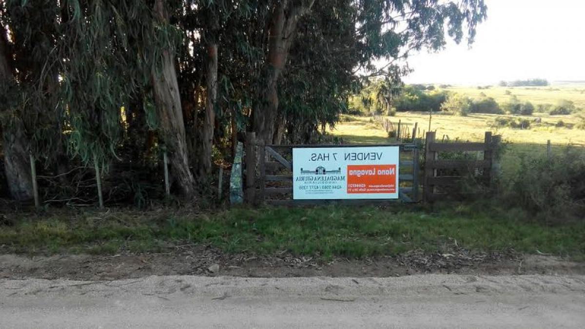  Farm in Maldonado, Uruguay No. 14361