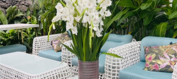 4 chambres Maison à Adeje, Spain No. 145723 17