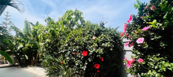 4 chambres Maison à Adeje, Spain No. 145723 28