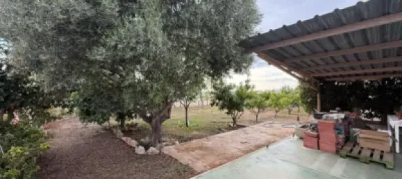 7 غرف نوم منزل في Santa Pola, Spain رقم 135765 49