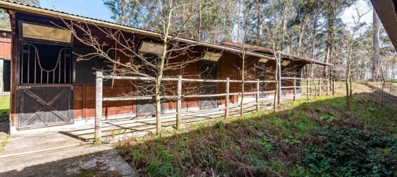 2 غرف نوم منزل في Matosinhos, Portugal رقم 68343 21