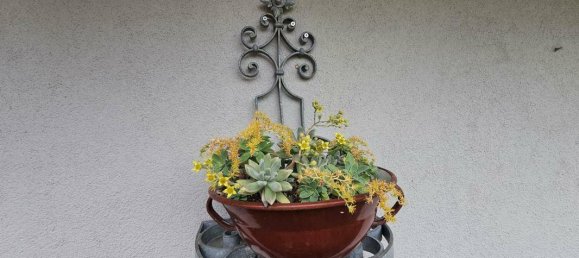 Дом с 5 комнатами в Бад Радкерсбург, Австрия № 134340 9