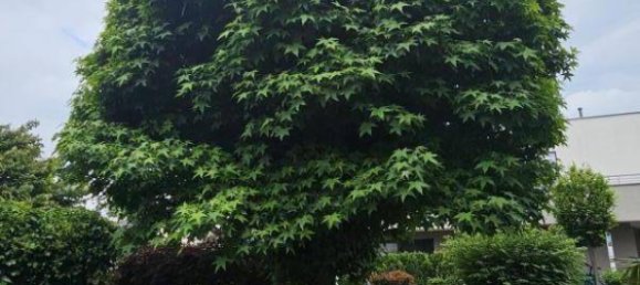 Дом с 5 комнатами в Бад Радкерсбург, Австрия № 134340 44