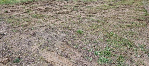 Land in Ravelsbach, Austria No. 118593 3