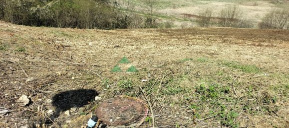 1145m² Land in Ferrette, France No. 39887 4