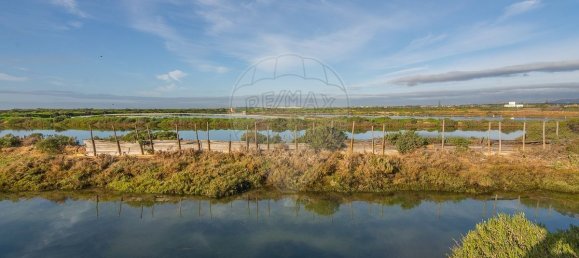 4 bedrooms Castles in Pechao, Portugal No. 23278 5