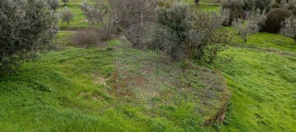 2 bedrooms House in Sardoal, Portugal No. 185389 10