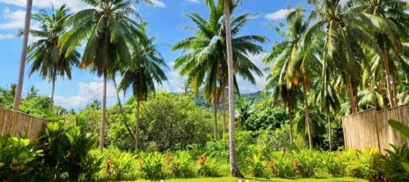 2 bedrooms Villa in Surat Thani, Thailand No. 15125 8