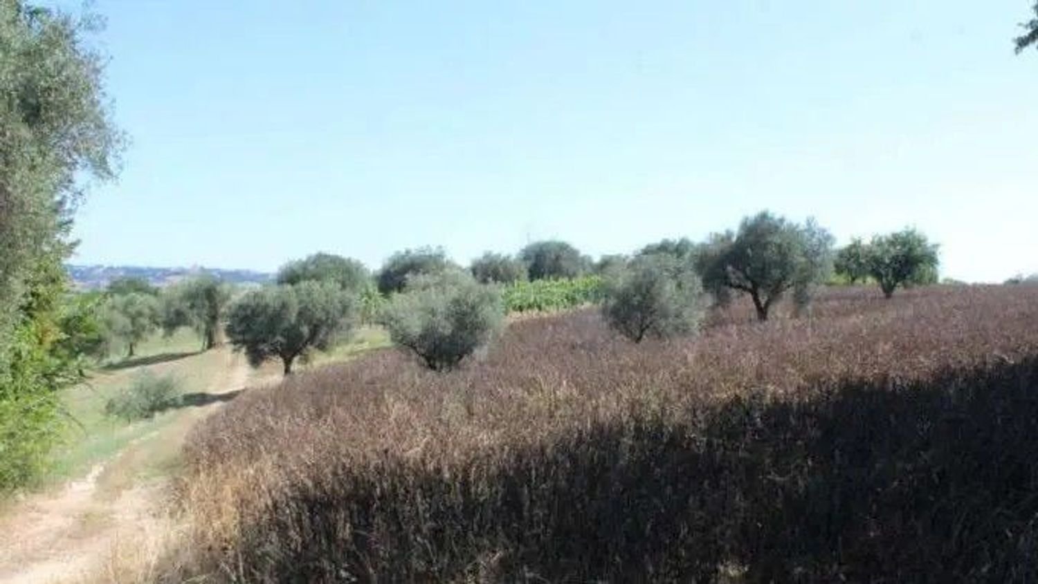  قطعة أرض في Corridonia, Italy 36605متر مربع رقم 274764