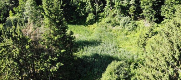  قطعة أرض في Pernegg an der Mur, Austria 3213متر مربع رقم 156076 4