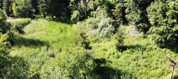  قطعة أرض في Pernegg an der Mur, Austria 3213متر مربع رقم 156076 3