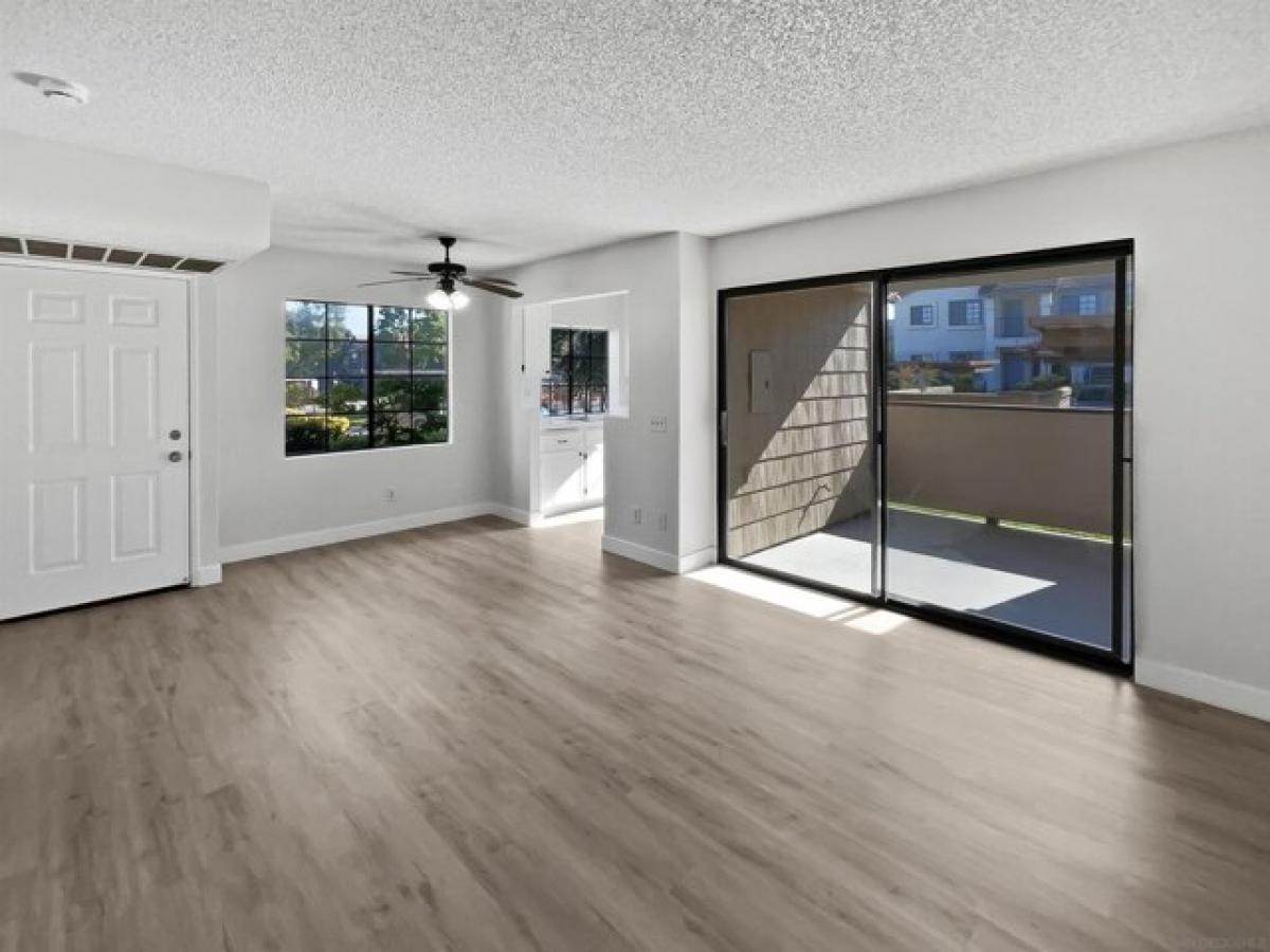 Студия в Сан Диего, США № 234797