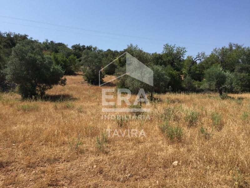 4830m² Land in Santa Catarina da Fonte do Bispo, Portugal No. 269230