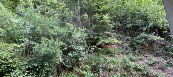 4 غرف نوم منزل في Rohrbach-les-Bitche, France رقم 60350 11