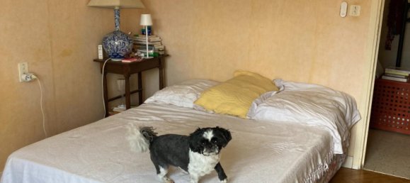 4 bedrooms Townhouse in Occitanie, France No. 329730 9