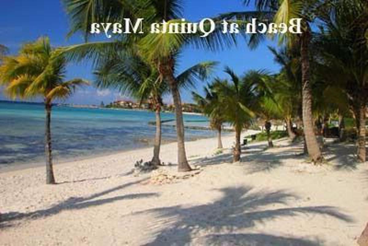 استوديو في Solidaridad, Mexico رقم 167045