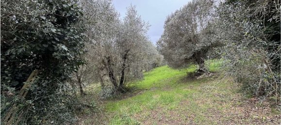 5 rooms House in Peccioli, Italy No. 89635 14