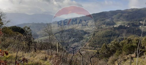  قطعة أرض في Baiao, Portugal 2000متر مربع رقم 62100 5