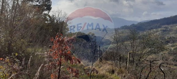  قطعة أرض في Baiao, Portugal 2000متر مربع رقم 62100 6