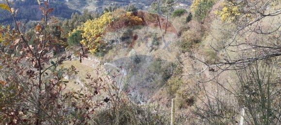  قطعة أرض في Baiao, Portugal 2000متر مربع رقم 62100 8