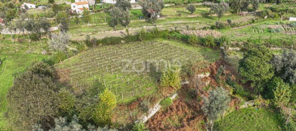 6 غرف نوم منزل في Terras de Bouro, Portugal رقم 41414 18