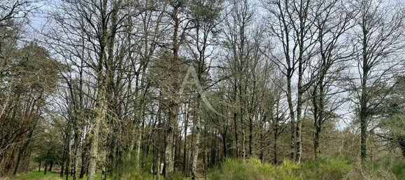 Terreno en Villefranche-sur-Cher, France No. 85564 2