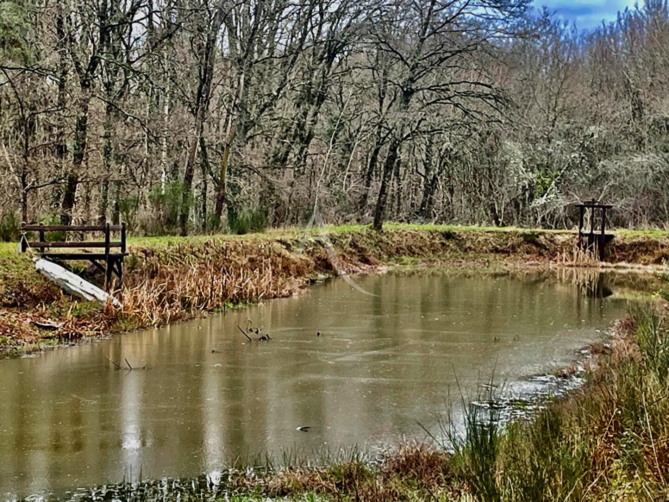 Terreno en Villefranche-sur-Cher, France No. 85564