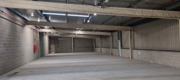 Склад 1527м² в Маскефа, Испания № 137620 8