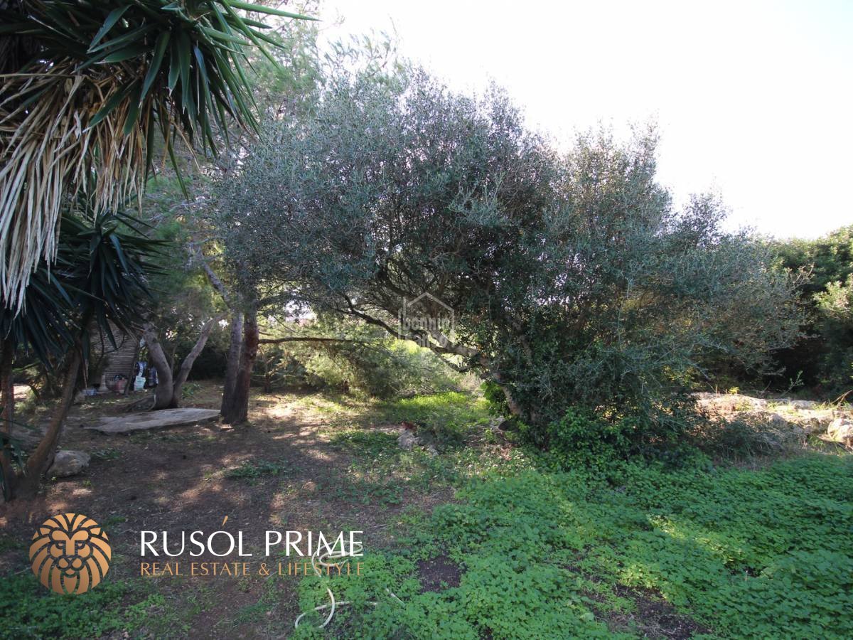 1282m² Land in Ciutadella De Menorca, Spain No. 2042