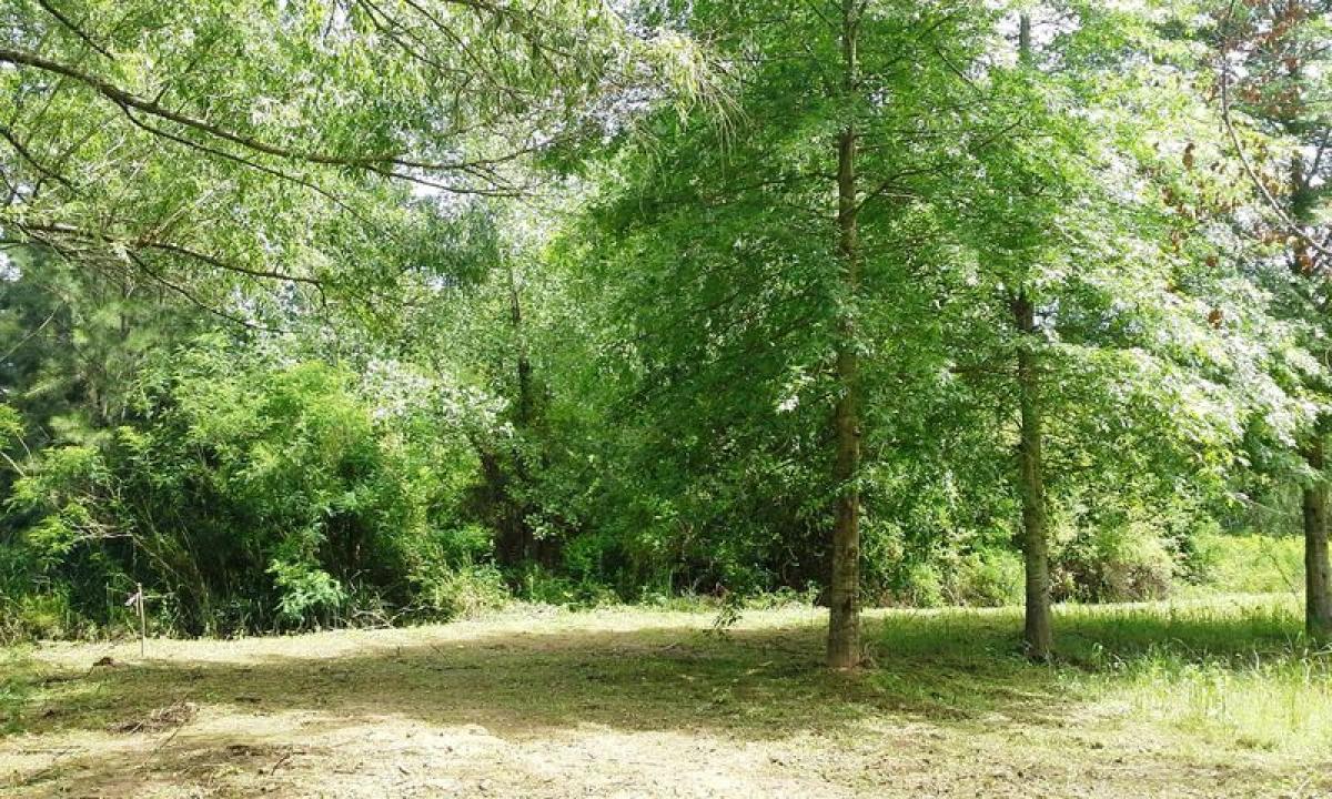  Land in Tigre, Argentina No. 117376