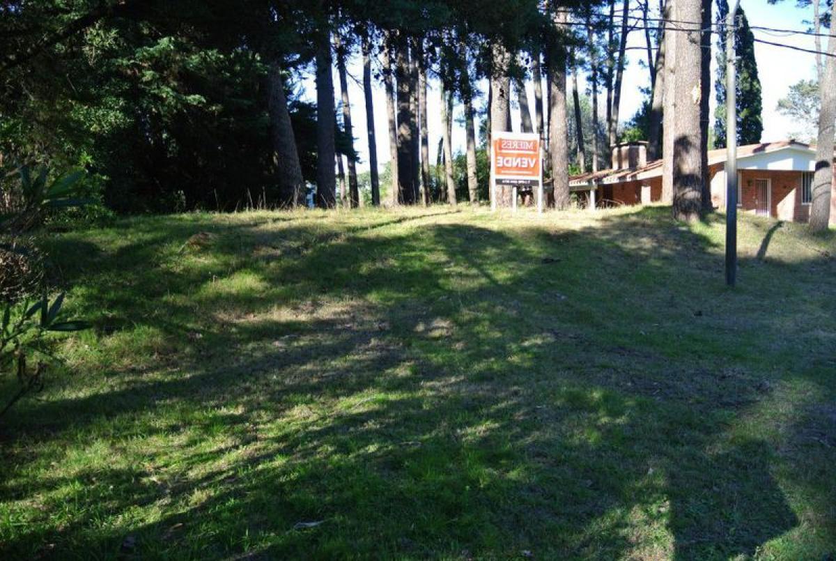  قطعة أرض في Maldonado, Uruguay رقم 15621