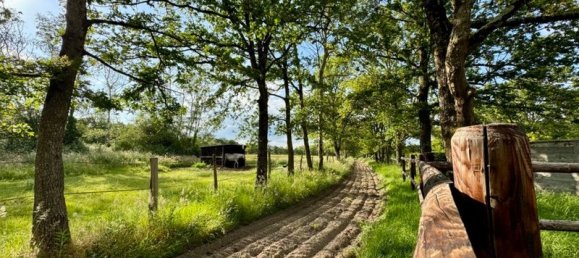 5 chambres Maison à La Flèche, France No. 190078 22