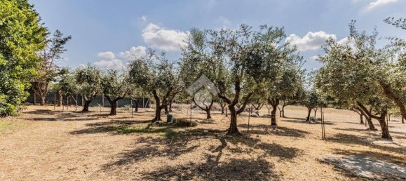 4 bedrooms Villa in Cerveteri, Italy No. 370278 7